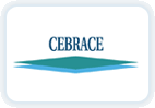Grupo Cebrace Cristal Plano